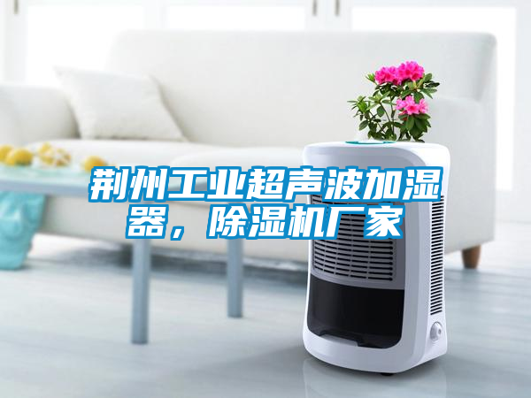 荊州工業(yè)超聲波加濕器，除濕機廠家