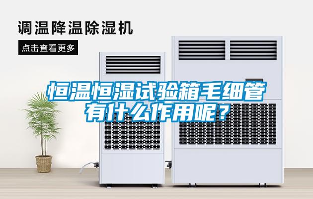 恒溫恒濕試驗(yàn)箱毛細(xì)管有什么作用呢？