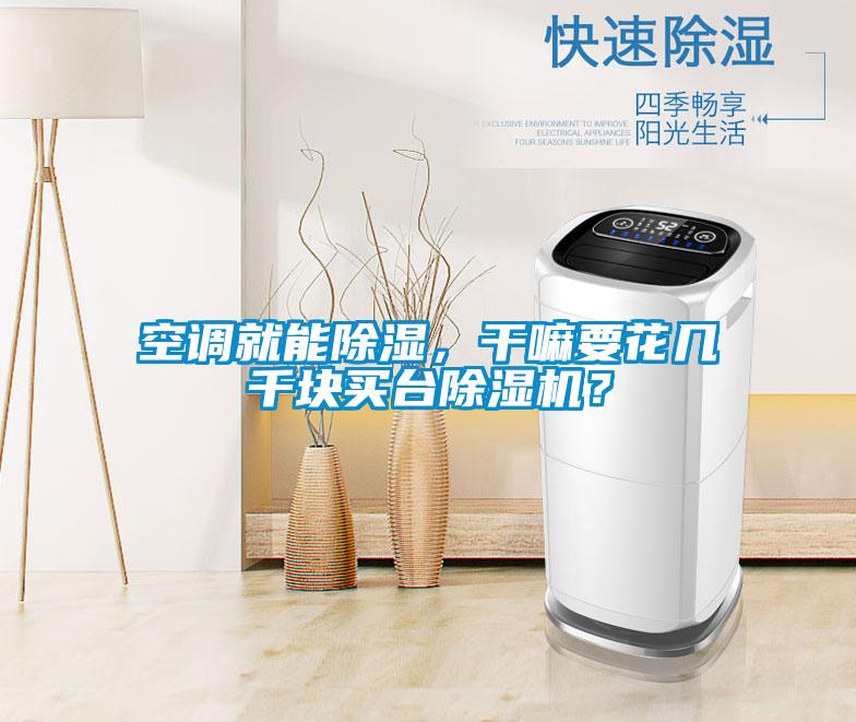 空調(diào)就能除濕，干嘛要花幾千塊買臺除濕機？