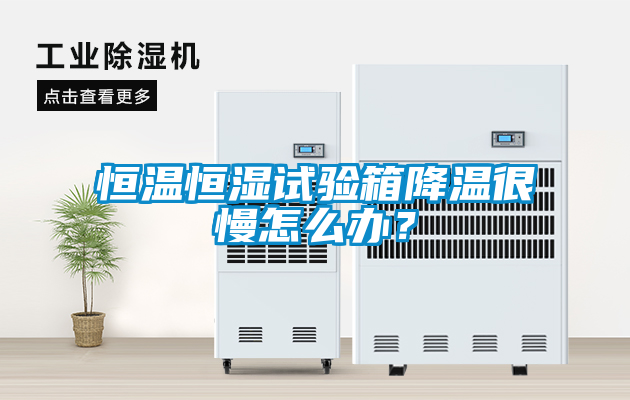 恒溫恒濕試驗(yàn)箱降溫很慢怎么辦？