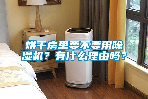 烘干房里要不要用除濕機(jī)？有什么理由嗎？