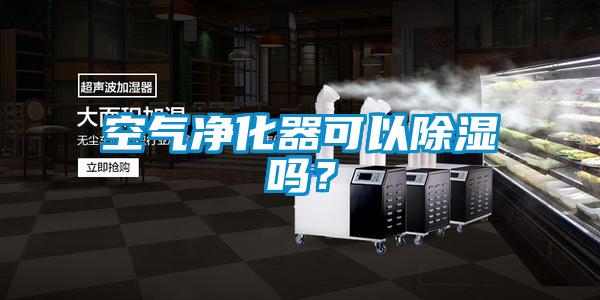 空氣凈化器可以除濕嗎？