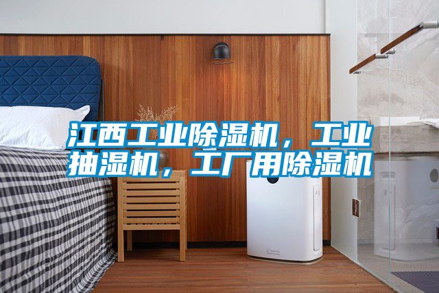 江西工業(yè)除濕機(jī)，工業(yè)抽濕機(jī)，工廠用除濕機(jī)