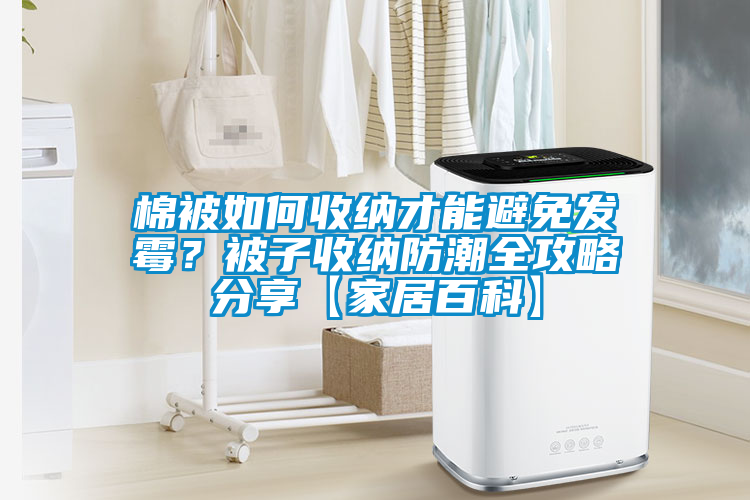 棉被如何收納才能避免發(fā)霉？被子收納防潮全攻略分享【家居百科】