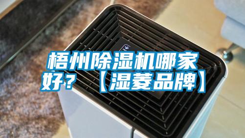 梧州除濕機(jī)哪家好？【濕菱品牌】
