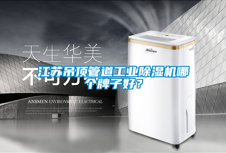 江蘇吊頂管道工業(yè)除濕機哪個牌子好？