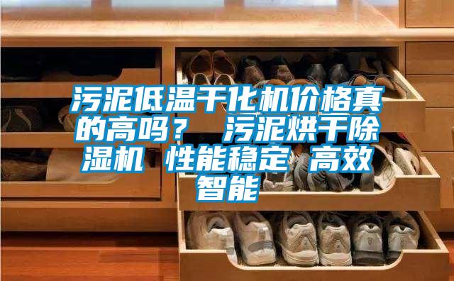 污泥低溫干化機(jī)價格真的高嗎？ 污泥烘干除濕機(jī) 性能穩(wěn)定 高效智能