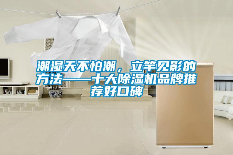 潮濕天不怕潮，立竿見影的方法——十大除濕機(jī)品牌推薦好口碑