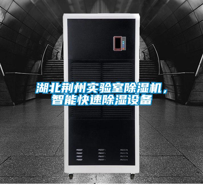湖北荊州實(shí)驗(yàn)室除濕機(jī)，智能快速除濕設(shè)備