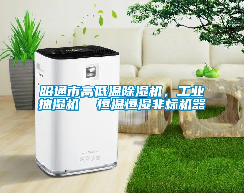 昭通市高低溫除濕機，工業(yè)抽濕機  恒溫恒濕非標機器