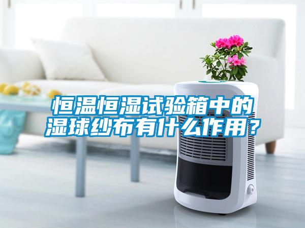 恒溫恒濕試驗箱中的濕球紗布有什么作用？