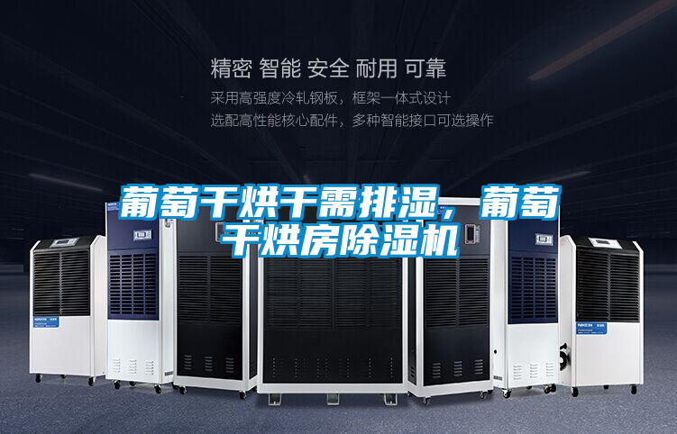 葡萄干烘干需排濕，葡萄干烘房除濕機