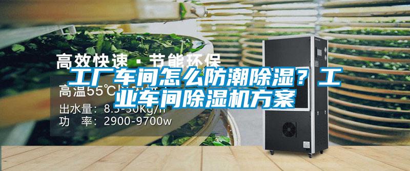 工廠車間怎么防潮除濕？工業(yè)車間除濕機方案