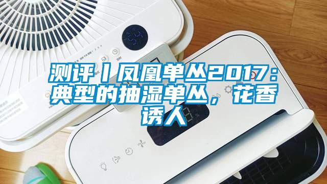 測評丨鳳凰單叢2017：典型的抽濕單叢，花香誘人