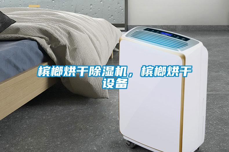 檳榔烘干除濕機(jī)，檳榔烘干設(shè)備