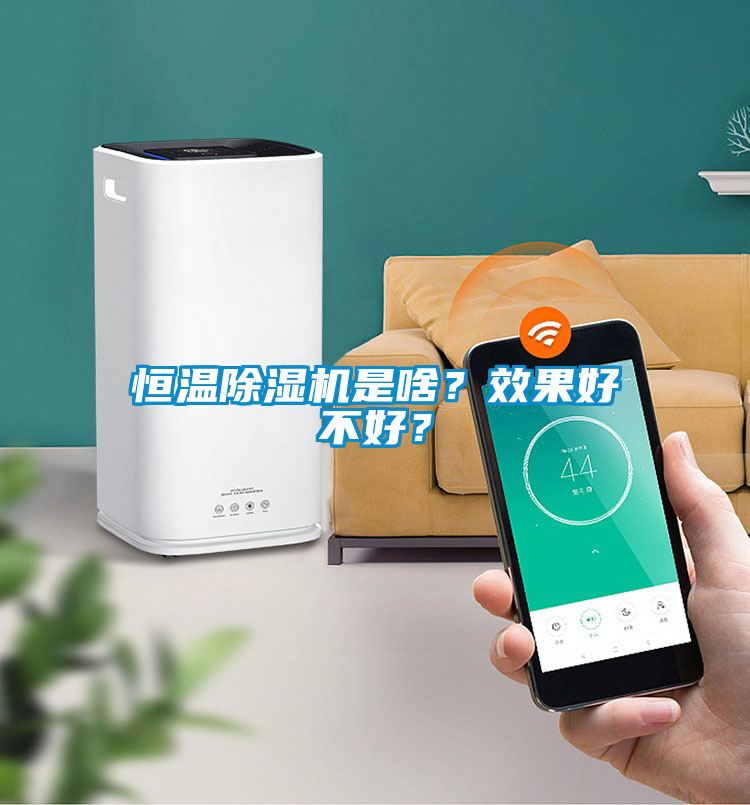 恒溫除濕機是啥？效果好不好？