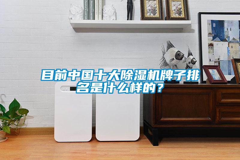 目前中國十大除濕機牌子排名是什么樣的？