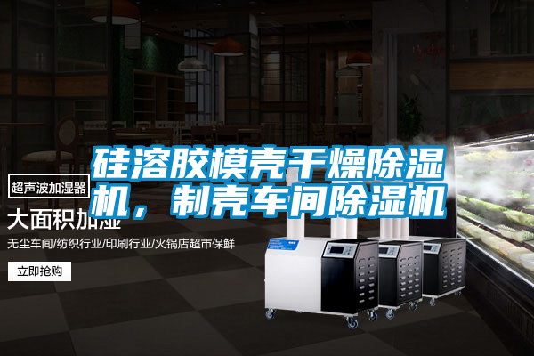 硅溶膠模殼干燥除濕機(jī)，制殼車(chē)間除濕機(jī)