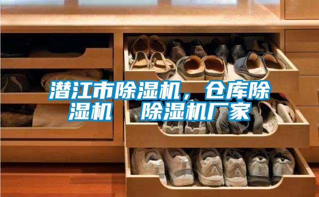 潛江市除濕機，倉庫除濕機  除濕機廠家