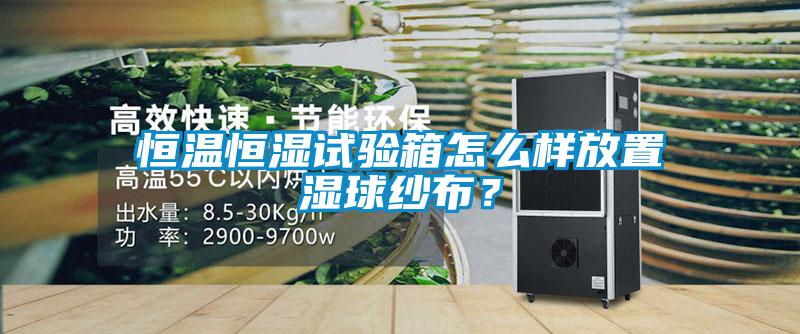 恒溫恒濕試驗箱怎么樣放置濕球紗布？