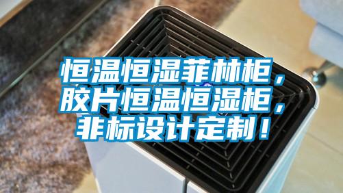 恒溫恒濕菲林柜，膠片恒溫恒濕柜，非標(biāo)設(shè)計定制！
