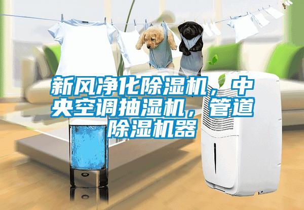 新風(fēng)凈化除濕機(jī)，中央空調(diào)抽濕機(jī)，管道除濕機(jī)器