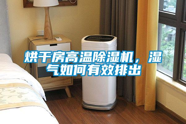 烘干房高溫除濕機(jī)，濕氣如何有效排出