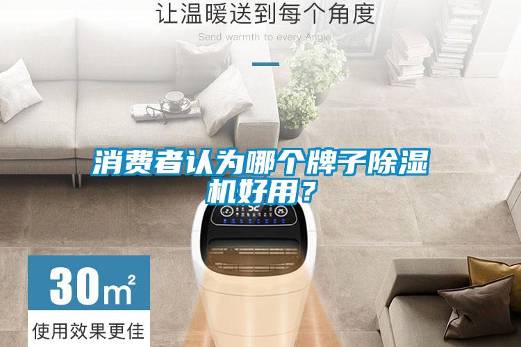消費(fèi)者認(rèn)為哪個(gè)牌子除濕機(jī)好用？