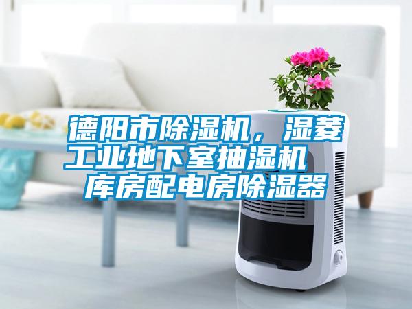 德陽(yáng)市除濕機(jī)，濕菱工業(yè)地下室抽濕機(jī)  庫(kù)房配電房除濕器