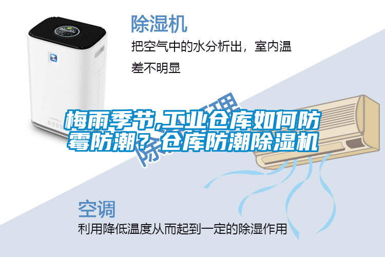 梅雨季節(jié),工業(yè)倉庫如何防霉防潮？倉庫防潮除濕機
