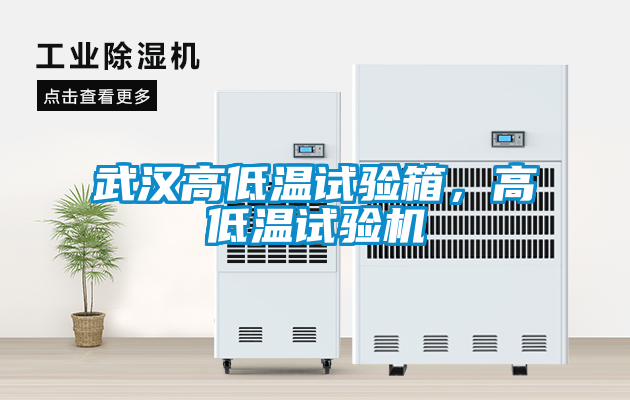 武漢高低溫試驗箱，高低溫試驗機
