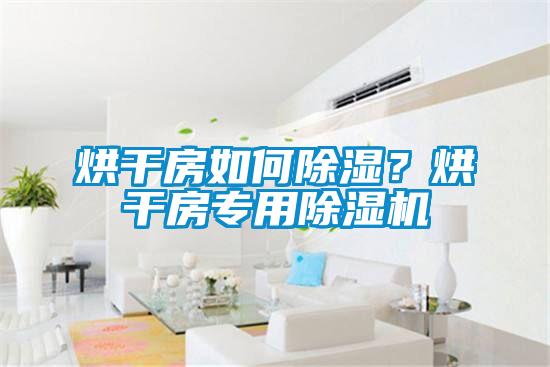 烘干房如何除濕？烘干房專用除濕機(jī)