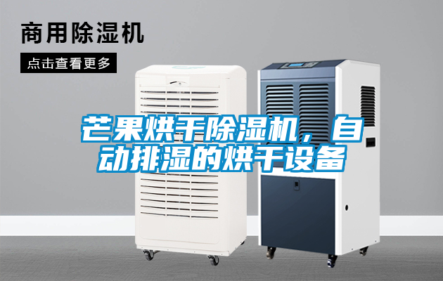 芒果烘干除濕機(jī)，自動(dòng)排濕的烘干設(shè)備