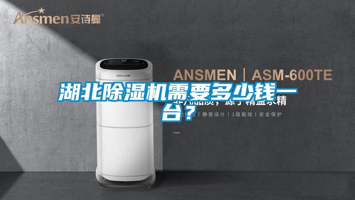 湖北除濕機需要多少錢一臺？