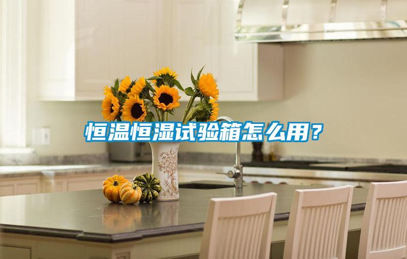 恒溫恒濕試驗(yàn)箱怎么用？