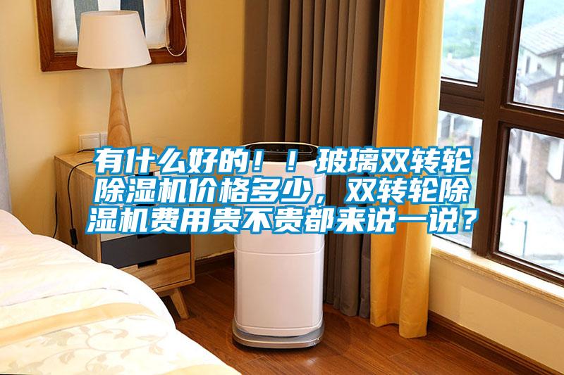 有什么好的?。〔Ａщp轉(zhuǎn)輪除濕機價格多少，雙轉(zhuǎn)輪除濕機費用貴不貴都來說一說？