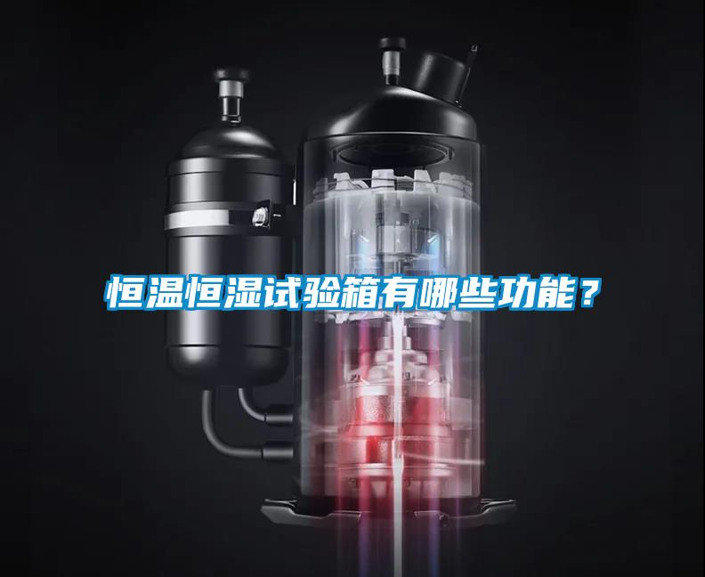 恒溫恒濕試驗(yàn)箱有哪些功能？