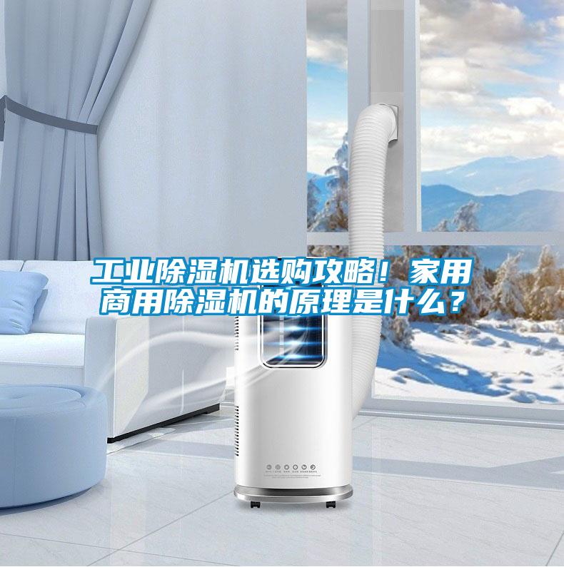工業(yè)除濕機選購攻略！家用商用除濕機的原理是什么？