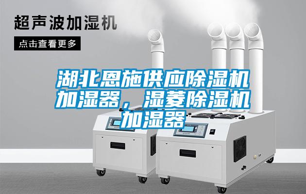 湖北恩施供應(yīng)除濕機(jī)加濕器，濕菱除濕機(jī)加濕器