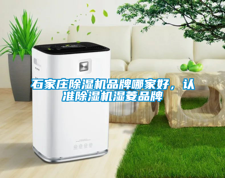 石家莊除濕機(jī)品牌哪家好，認(rèn)準(zhǔn)除濕機(jī)濕菱品牌