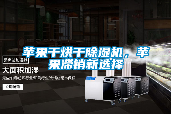 蘋果干烘干除濕機(jī)，蘋果滯銷新選擇