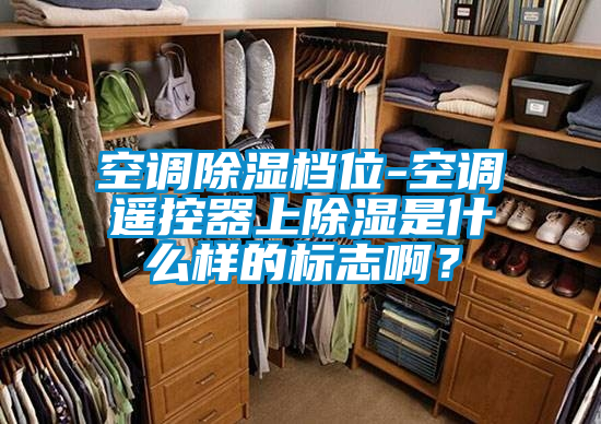 空調(diào)除濕檔位-空調(diào)遙控器上除濕是什么樣的標(biāo)志??？