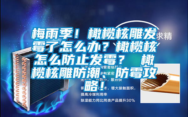 梅雨季！橄欖核雕發(fā)霉了怎么辦？橄欖核怎么防止發(fā)霉？ 橄欖核雕防潮、防霉攻略！