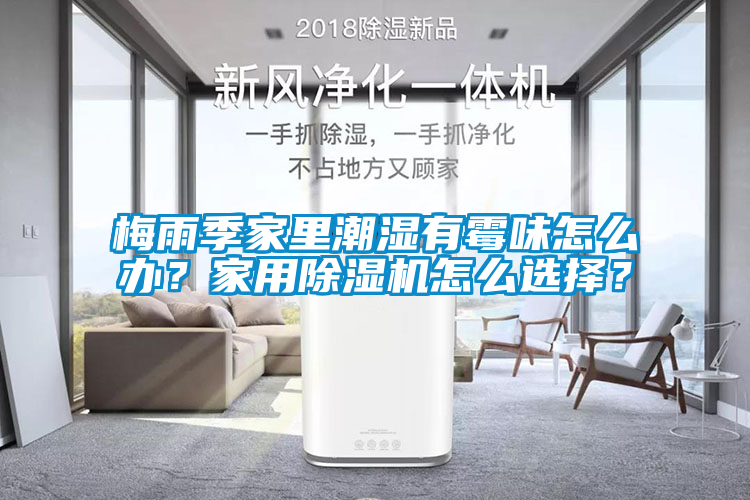 梅雨季家里潮濕有霉味怎么辦？家用除濕機怎么選擇？