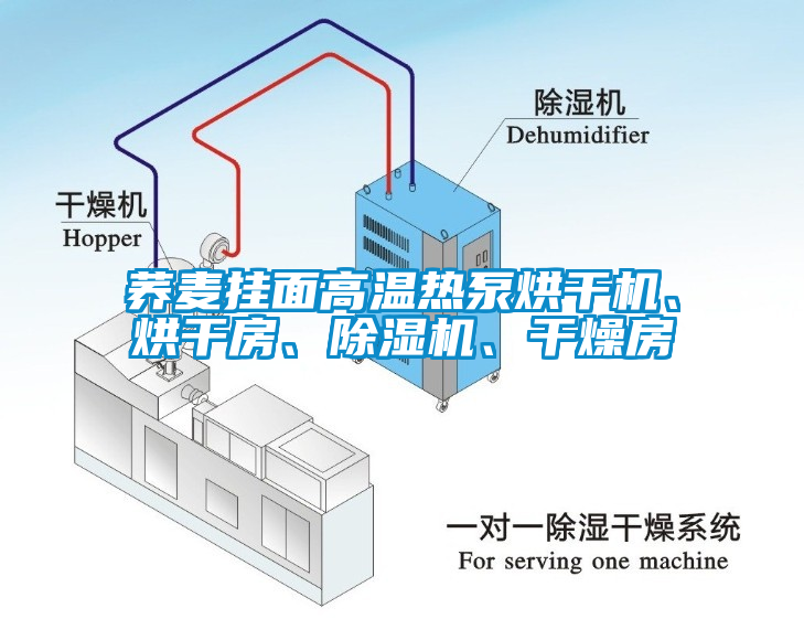 蕎麥掛面高溫熱泵烘干機、烘干房、除濕機、干燥房