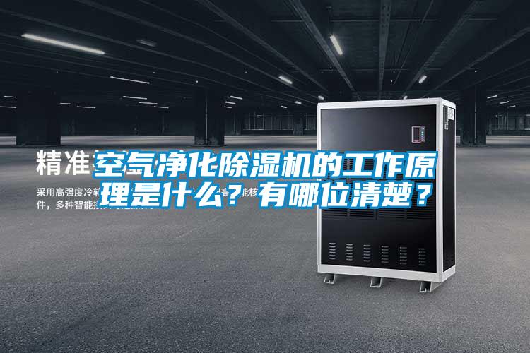 空氣凈化除濕機(jī)的工作原理是什么？有哪位清楚？