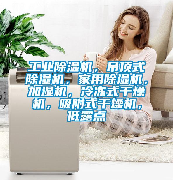 工業(yè)除濕機，吊頂式除濕機，家用除濕機，加濕機，冷凍式干燥機，吸附式干燥機，低露點