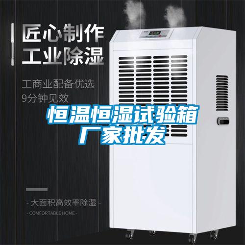 恒溫恒濕試驗(yàn)箱廠(chǎng)家批發(fā)