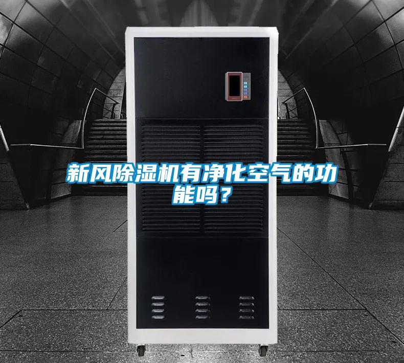 新風除濕機有凈化空氣的功能嗎？