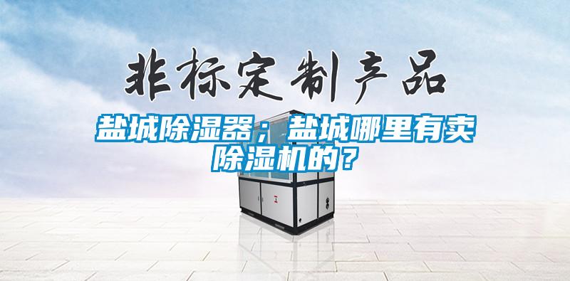 鹽城除濕器；鹽城哪里有賣除濕機(jī)的？